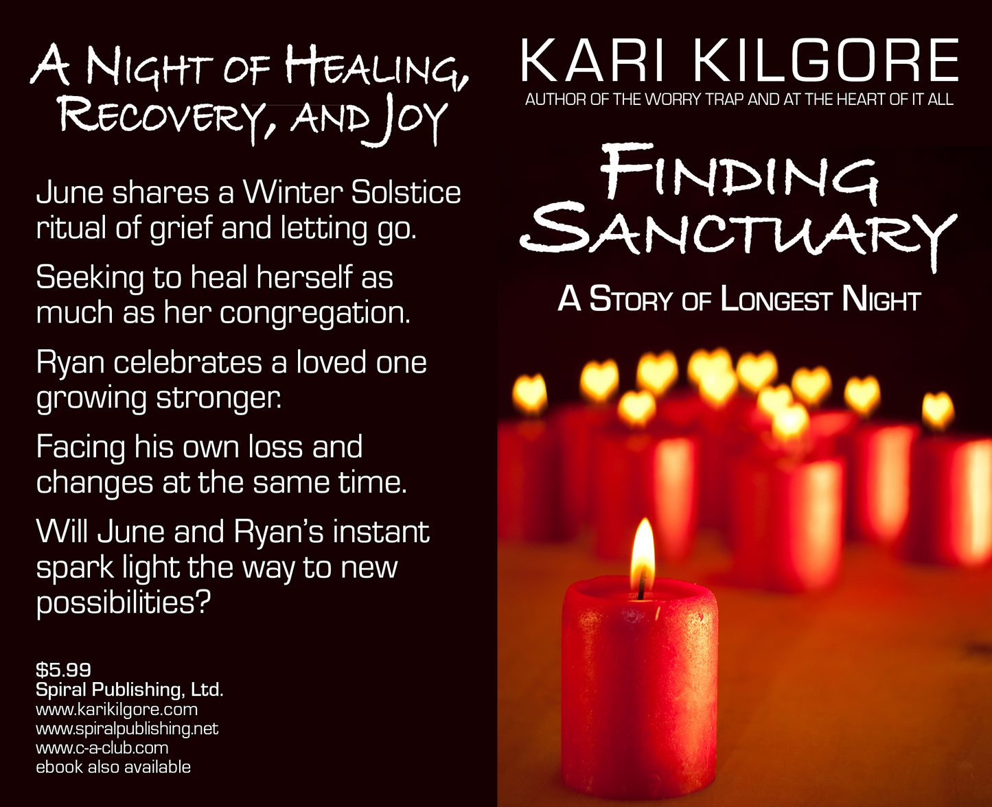 Finding Sanctuary: A Story of Longest Night