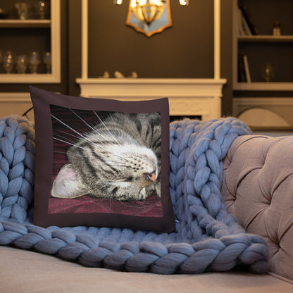 Zortea the Magic Cat Premium Pillow