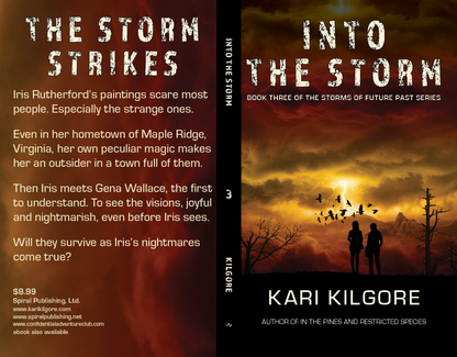 Into the Storm: Book Three of the Storms of Future Past Series